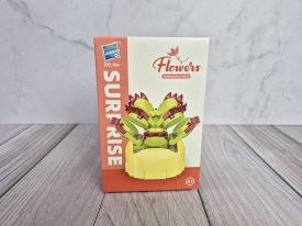 Flores de bloques SUCULENTAS